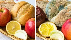 Seznam potravin, které se nesmí nechávat na horku