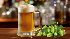 Není to tak škodlivé, jak se říká: 5 faktů o přínosech piva