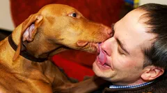 Proč vám pes olizuje obličej — a co vám tím ve skutečnosti chce říct