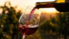 Sklenka k obědu: Pravda a mýty o přínosech vína