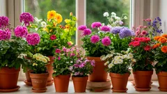 V zimě mohou hnojiva zničit vaše rostliny! Na co si dát pozor, abyste zachránili své oblíbené květiny