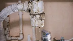 Vyschlý sifon? 5 kroků k bytu bez zápachu