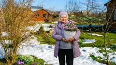 Co sázet na začátku sezóny: 5 osvědčených druhů květin