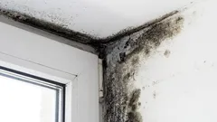 Preventivní úder proti plísni: Našel jsem jednoduché řešení