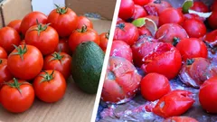 Proč se zelenina v lednici kazí dvakrát rychleji, než by měla