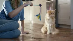 Jaké lidi kočky opravdu respektují – a koho ignorují