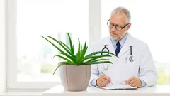 Jak zachránit aloe, které už vypadá ztraceně