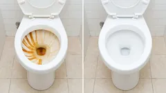 Konečně jsem se zbavil žlutých pruhů na záchodové míse – podělím se s vámi o svůj způsob