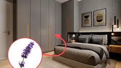 Moje babička dávala levanduli do skříně: K čemu to je?