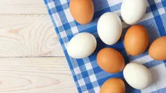 Je možné jíst vejce každý den – a co se děje v těle