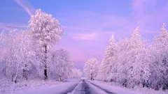 Proč sníh mění nejen krajinu, ale i zvuky kolem nás